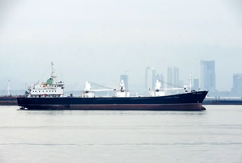 FRIO SEGURO General Cargo IMO 7702384