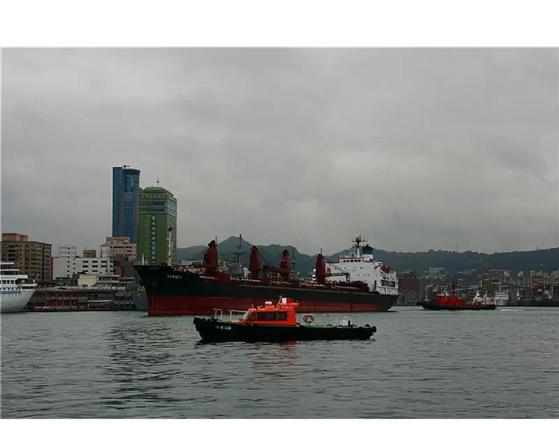 GARNET Bulk Carrier IMO 7702516 photo 3