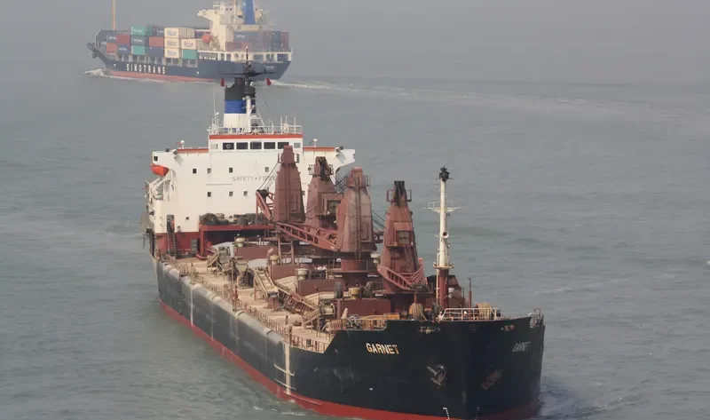 GARNET Bulk Carrier IMO 7702516 photo 4
