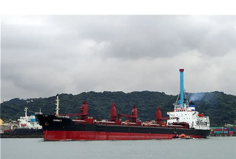 GARNET Bulk Carrier IMO 7702516 photo 8