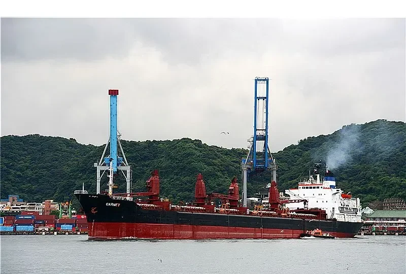 GARNET Bulk Carrier IMO 7702516 photo 9