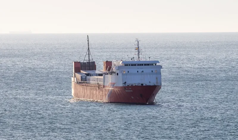 NADEZHDA Ro-Ro IMO 7702657 photo 10