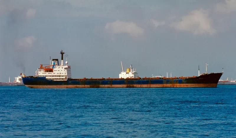 HILMI Bulk Carrier IMO 7702798 photo 3