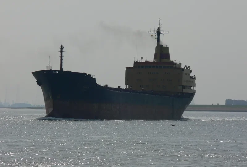 ROJEN Bulk Carrier IMO 7702827 photo 7