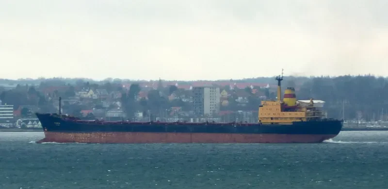 ROJEN Bulk Carrier IMO 7702827 photo 10