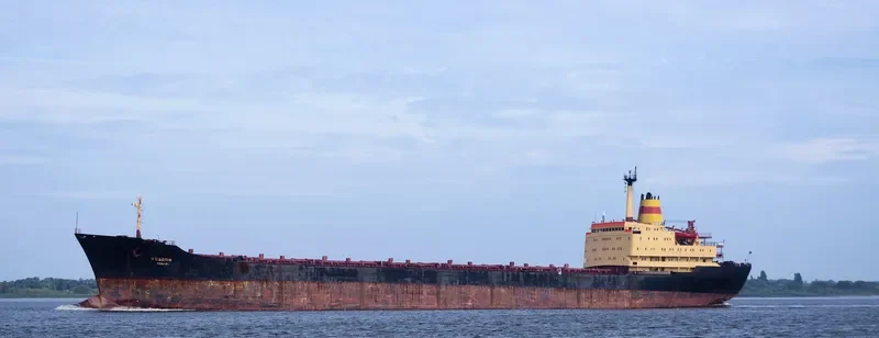 RODOPI Bulk Carrier IMO 7702839 photo 3