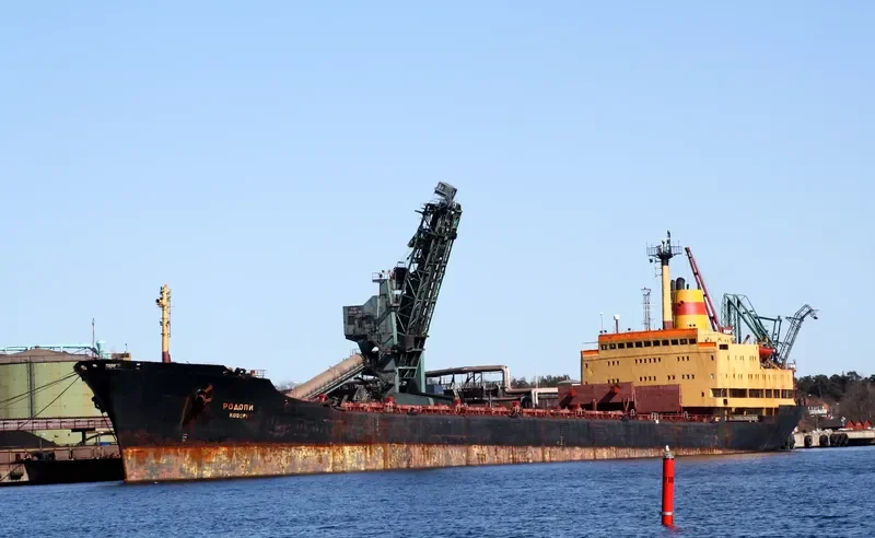 RODOPI Bulk Carrier IMO 7702839 photo 4