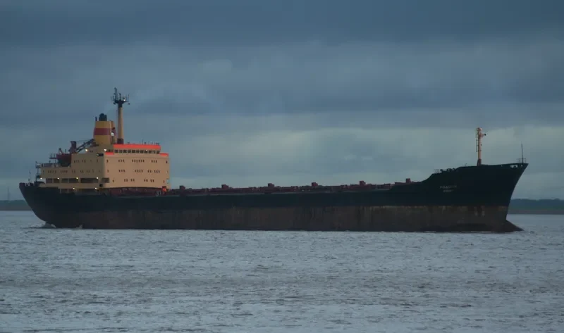 RODOPI Bulk Carrier IMO 7702839 photo 9