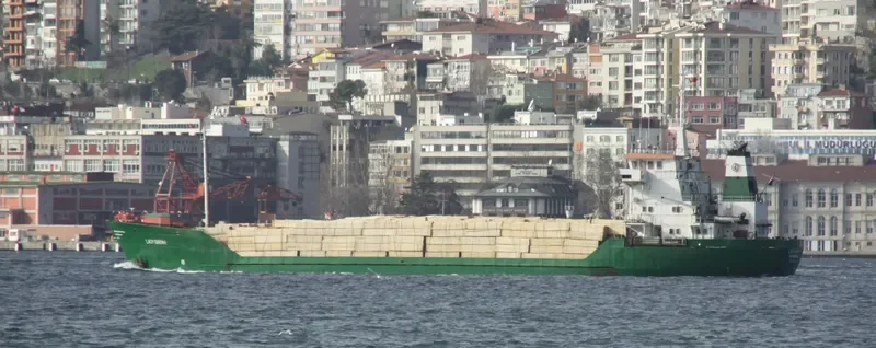 LADY SARAH General Cargo IMO 7702982 photo 8