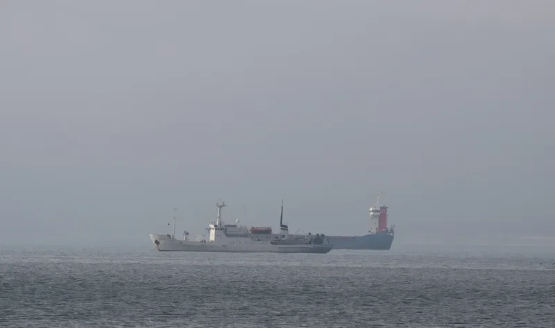 PROFESSOR SHTOKMAN General Cargo IMO 7703027 photo 8
