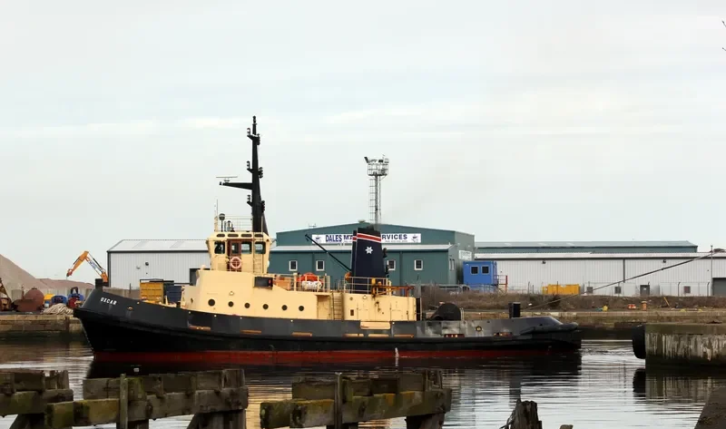 OXCAR General Cargo IMO 7703065 photo 7