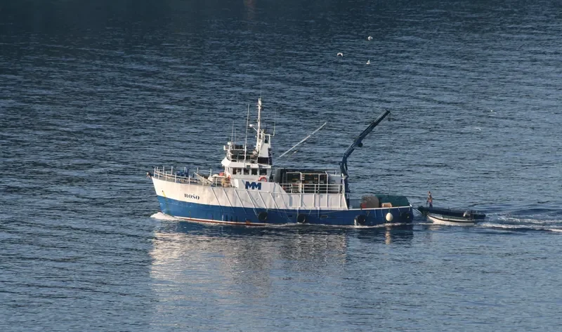 ROSO General Cargo IMO 7703077 photo 2