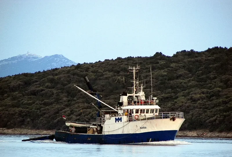ROSO General Cargo IMO 7703077 photo 4