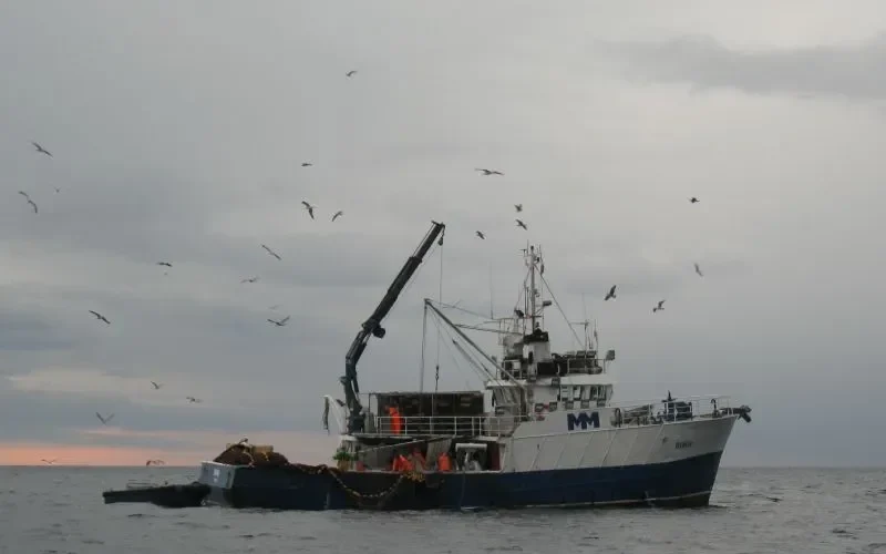 ROSO General Cargo IMO 7703077 photo 5
