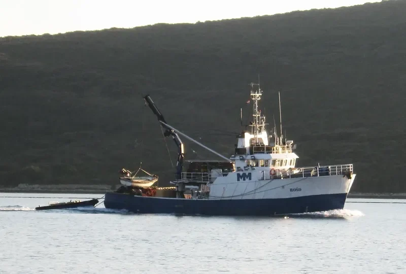 ROSO General Cargo IMO 7703077 photo 6