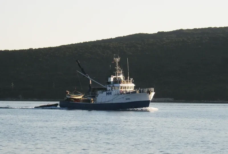 ROSO General Cargo IMO 7703077 photo 7