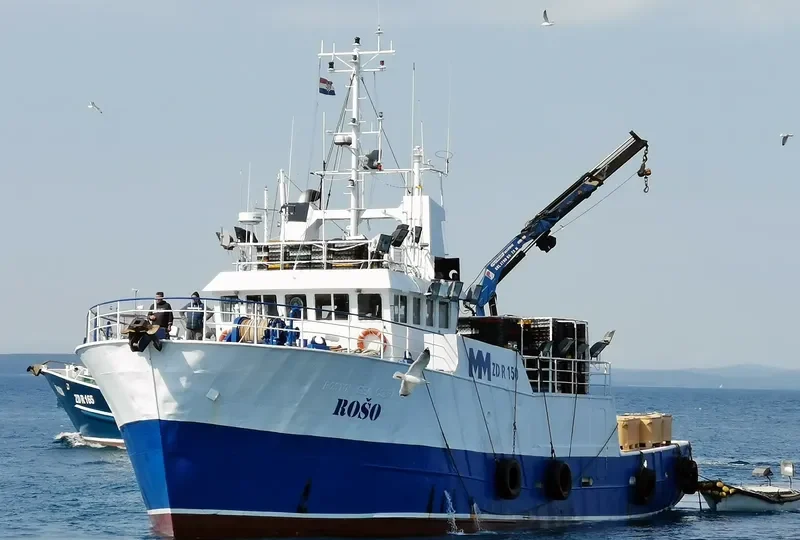 ROSO General Cargo IMO 7703077 photo 9