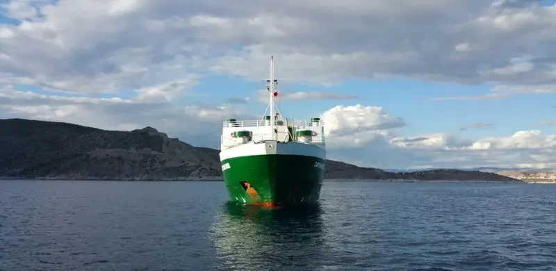 GAMMA STAR General Cargo IMO 7703259 photo 5