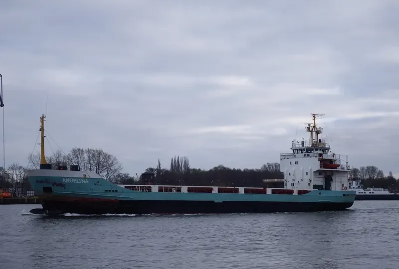 ANGELINA General Cargo IMO 7703273 photo 7