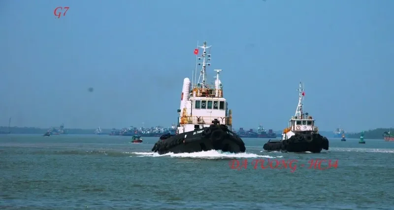 DA TUONG General Cargo IMO 7703431