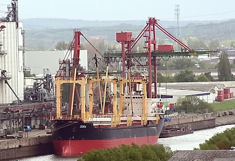 DORA Bulk Carrier IMO 7703572