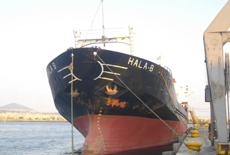 HALA General Cargo IMO 7703687 photo 3