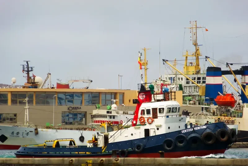 SERTOSA VEINTIUNO General Cargo IMO 7703704 photo 4
