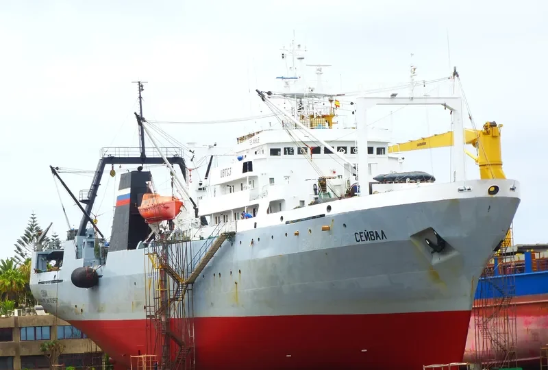 SEI WHALE General Cargo IMO 7703950