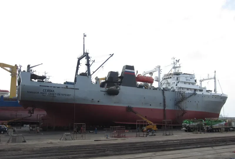SEI WHALE General Cargo IMO 7703950 photo 2