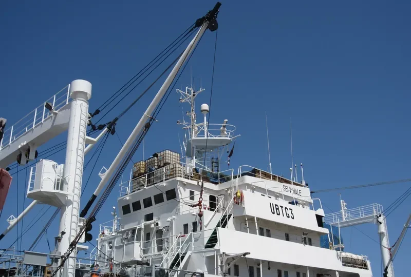 SEI WHALE General Cargo IMO 7703950 photo 4