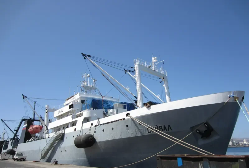 SEI WHALE General Cargo IMO 7703950 photo 5