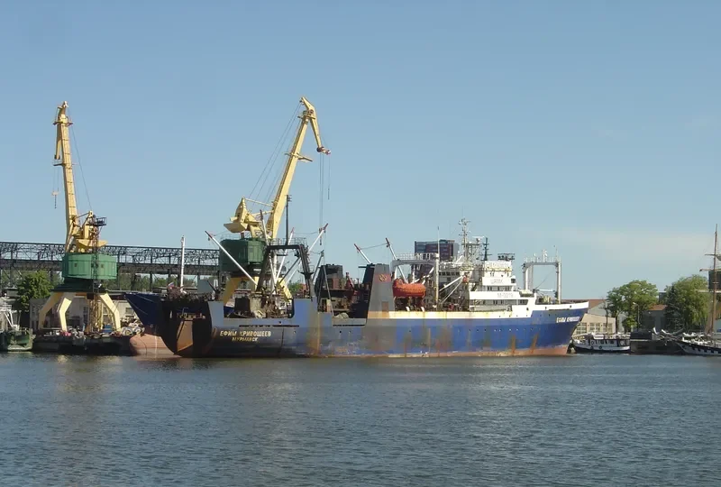 SEI WHALE General Cargo IMO 7703950 photo 7