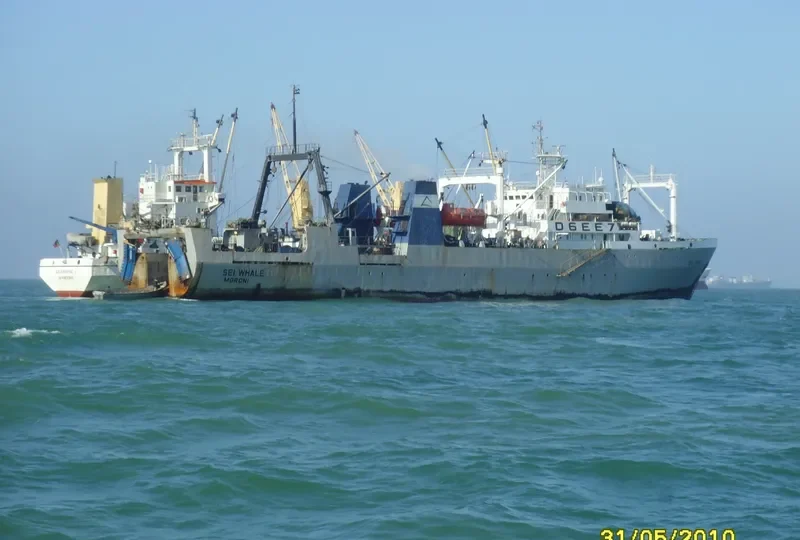 SEI WHALE General Cargo IMO 7703950 photo 8