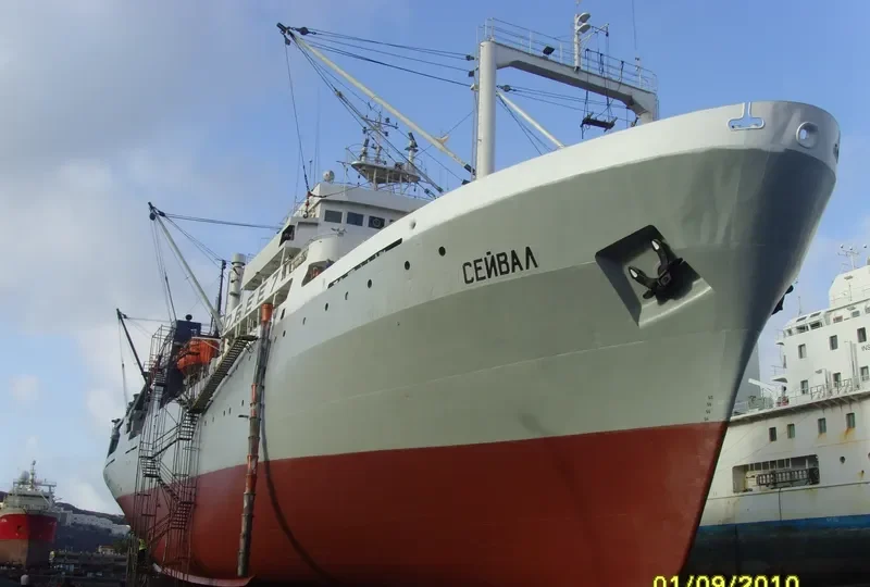 SEI WHALE General Cargo IMO 7703950 photo 10