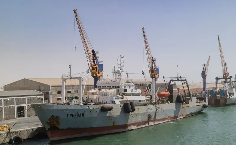 GREY WHALE General Cargo IMO 7703962 photo 2