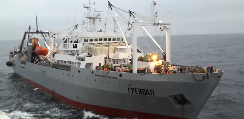 GREY WHALE General Cargo IMO 7703962 photo 3