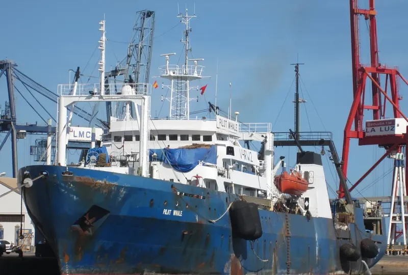MIKHAIL VERBITSKIY General Cargo IMO 7703986 photo 2