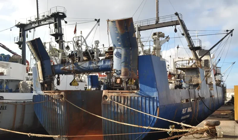 MIKHAIL VERBITSKIY General Cargo IMO 7703986 photo 3
