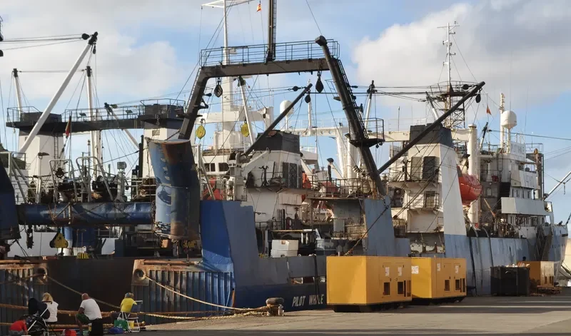 MIKHAIL VERBITSKIY General Cargo IMO 7703986 photo 4