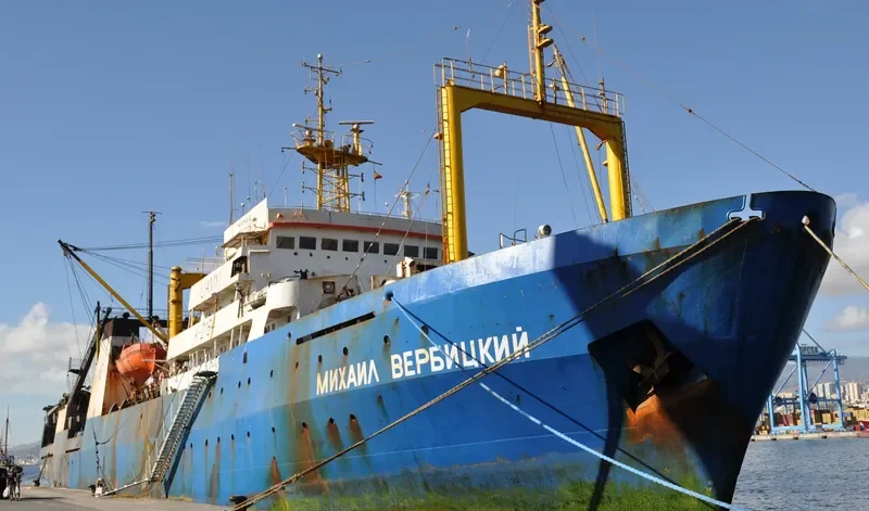 MIKHAIL VERBITSKIY General Cargo IMO 7703986 photo 5