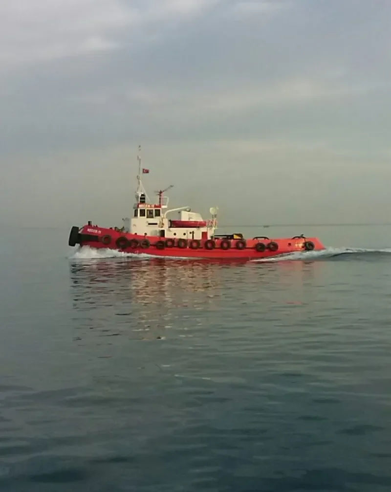 NECEM 11 General Cargo IMO 7704241