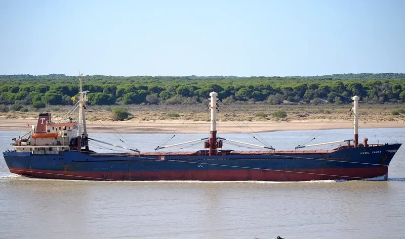 CEMIL TAMAN General Cargo IMO 7704277 photo 8