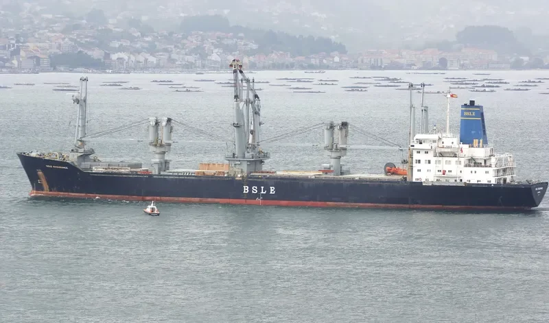 BSLE ENDURANCE General Cargo IMO 7704473 photo 2