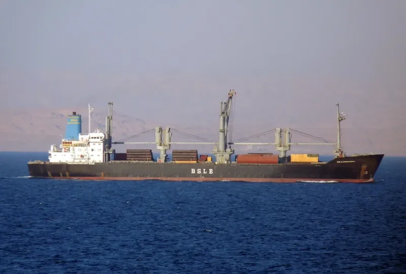 BSLE ENDURANCE General Cargo IMO 7704473 photo 6