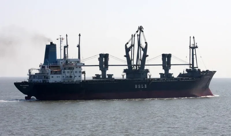 BSLE ENDURANCE General Cargo IMO 7704473 photo 8