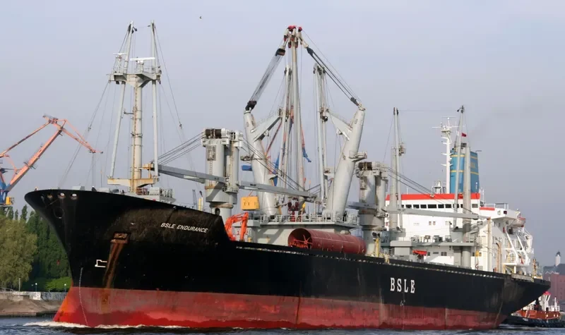 BSLE ENDURANCE General Cargo IMO 7704473 photo 10