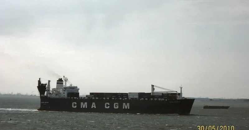 ELMAS Ro-Ro IMO 7704605 photo 7