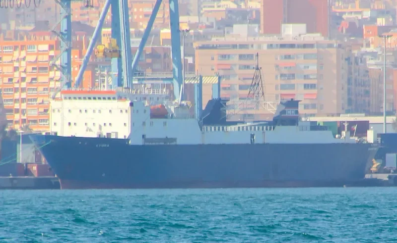 HOM Ro-Ro IMO 7704629 photo 3