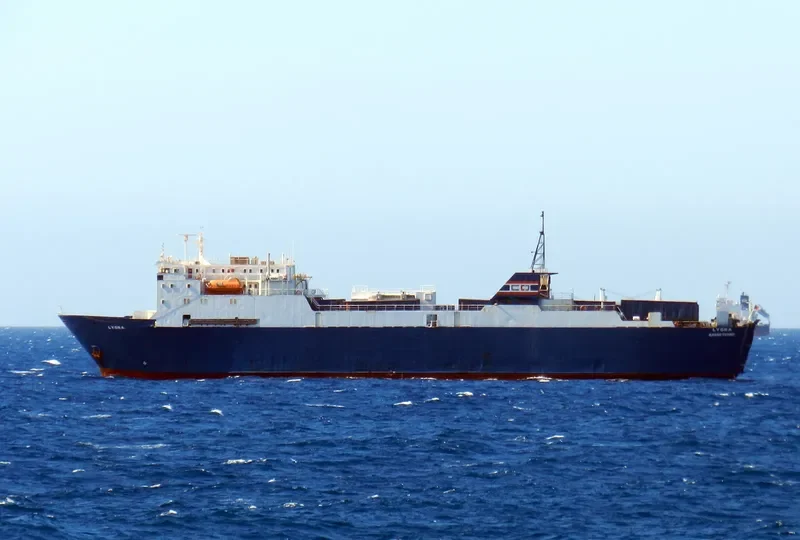 HOM Ro-Ro IMO 7704629 photo 5
