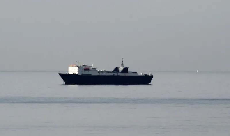 HOM Ro-Ro IMO 7704629 photo 7